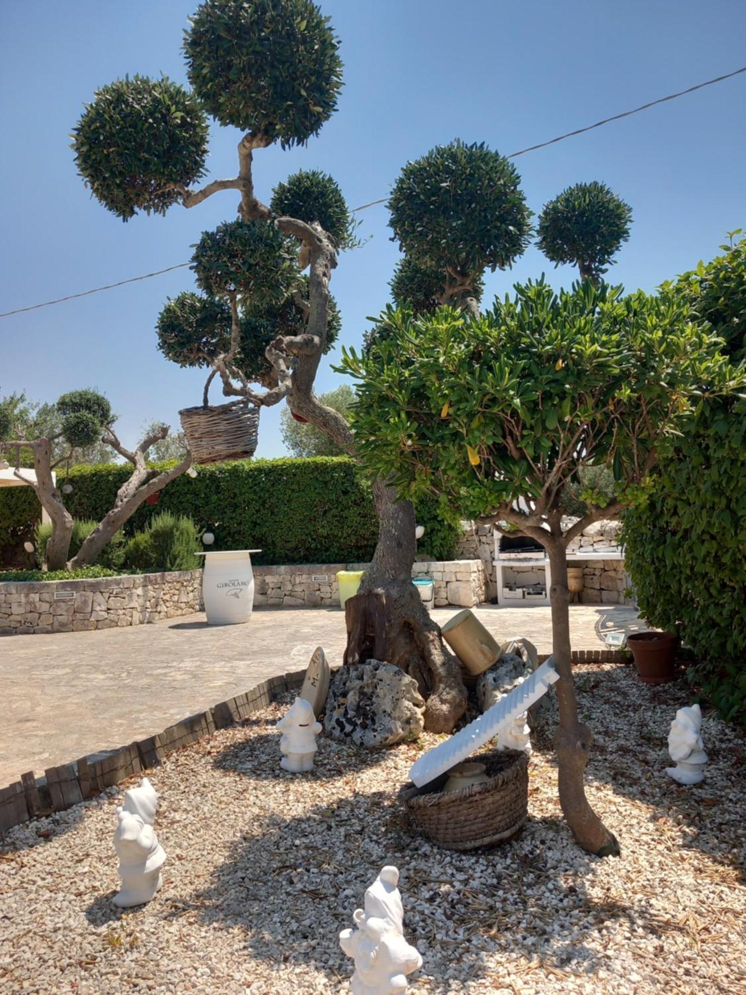 Trullo Monte Del Sale Guest House Alberobello Eksteriør bilde